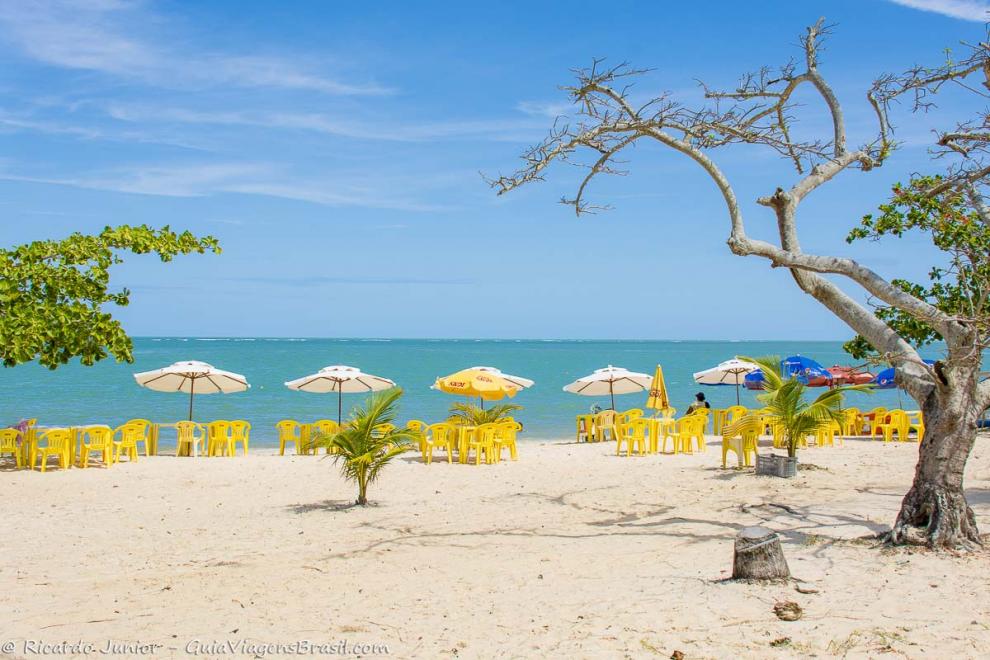 Imagem da Praia Coroa Vermelha o paraíso é aqui.